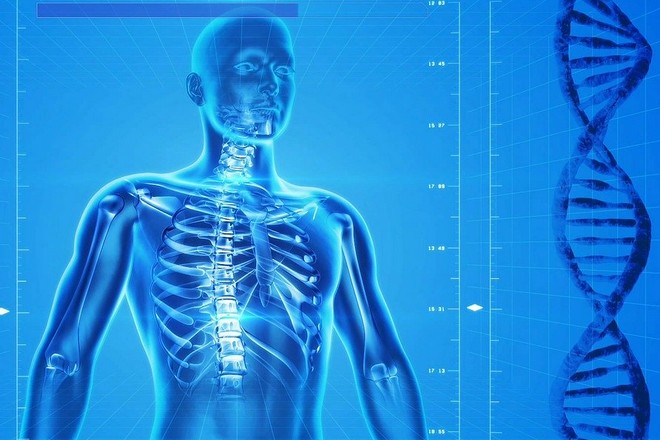 Dassault systèmes va créer des jumeaux numériques de l&rsquo;homme afin d&rsquo;améliorer les soins